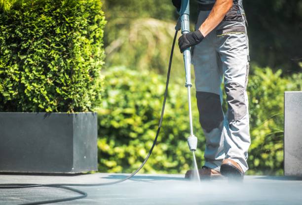 Best Patio and Deck Pressure Washing  in Porcupine, SD
